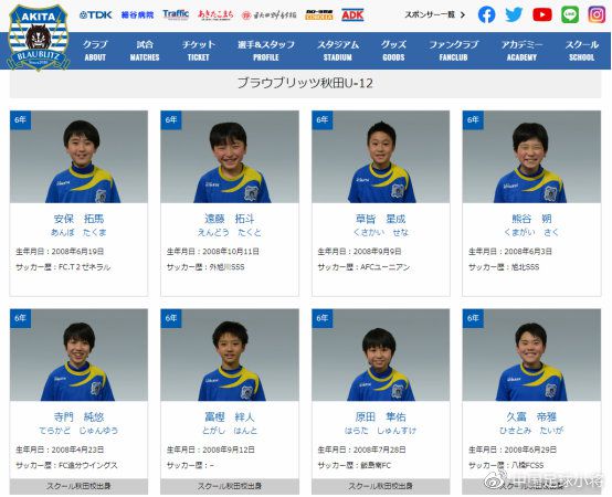 关于青少年篮球专业培训体系全面升级，打造行业“金字塔”的信息