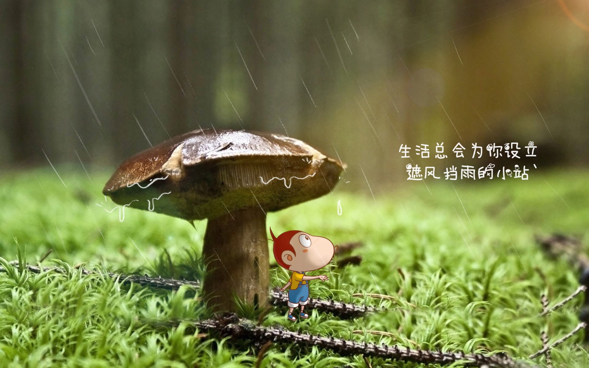 史上最“燃”比赛瞬间：镜头捕捉每个令人激情澎湃的时刻