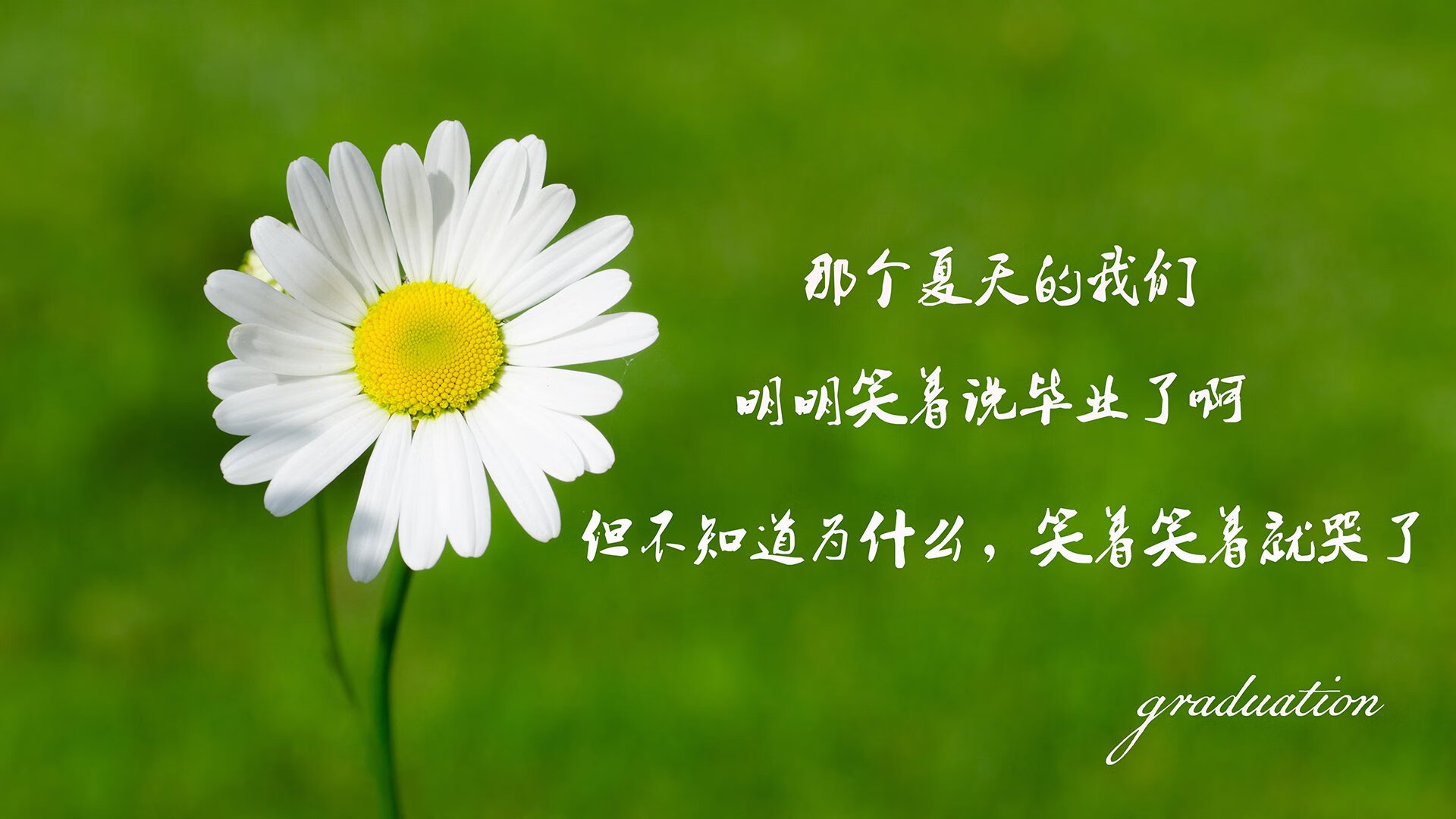 乐鱼电竞在线平台-快乐篮球：运动带来的快乐与成就感，快乐篮球简介