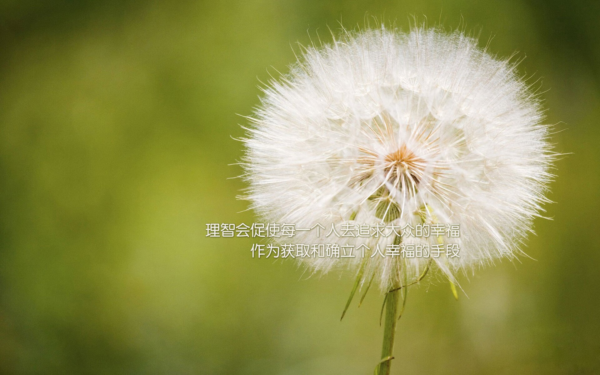 乐鱼电竞· (中国)官方网站-Faker职业生涯总击杀数突破3000大关，faker职业生涯胜率