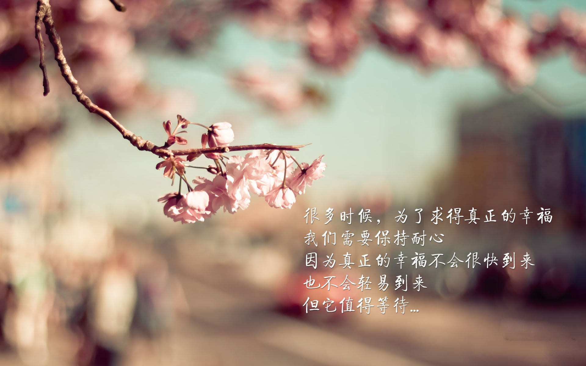 申花主帅赛后点评，欲提升球队战绩，申花 换帅
