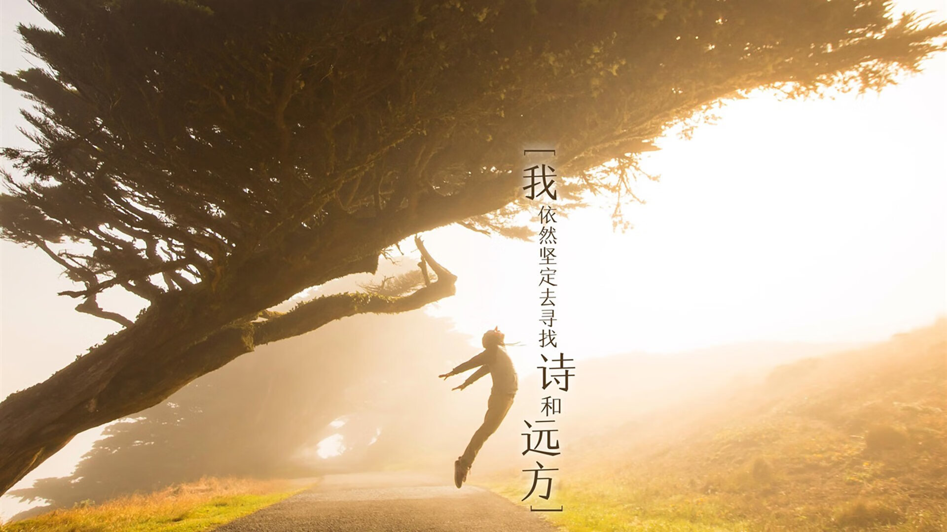 沃尔什决赛节奏掌控精确无误，nba 沃尔